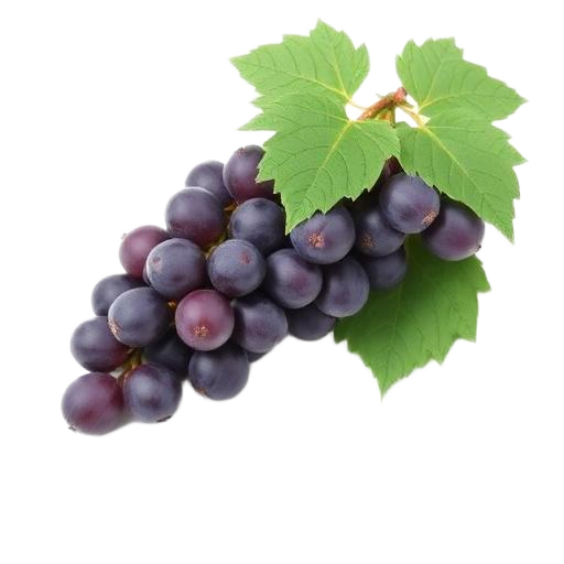 Grape Seed