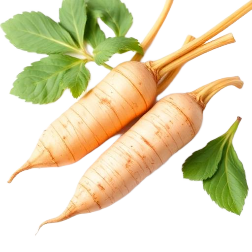 Maca Root